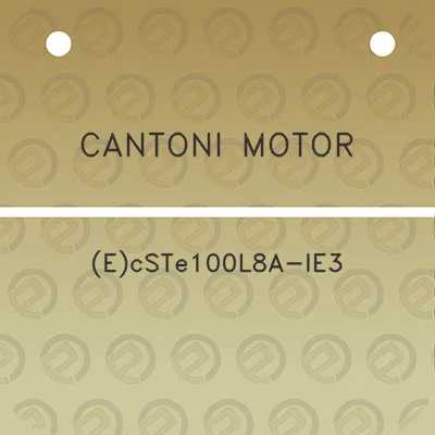 cantoni-motor-ecste100l8a-ie3