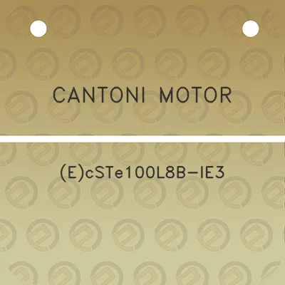 cantoni-motor-ecste100l8b-ie3