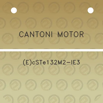 cantoni-motor-ecste132m2-ie3