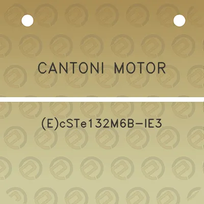 cantoni-motor-ecste132m6b-ie3