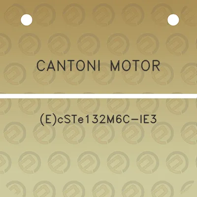 cantoni-motor-ecste132m6c-ie3