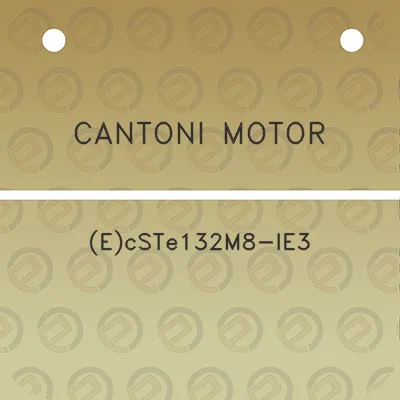 cantoni-motor-ecste132m8-ie3