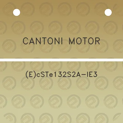 cantoni-motor-ecste132s2a-ie3