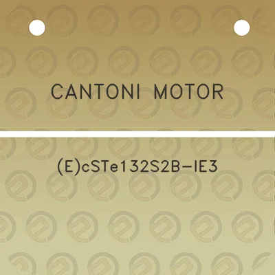 cantoni-motor-ecste132s2b-ie3