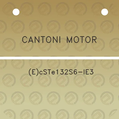 cantoni-motor-ecste132s6-ie3