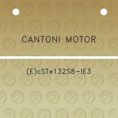 cantoni-motor-ecste132s8-ie3