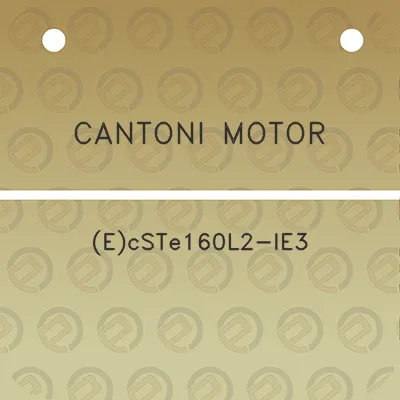 cantoni-motor-ecste160l2-ie3