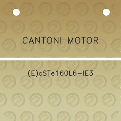 cantoni-motor-ecste160l6-ie3