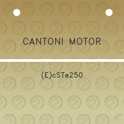 cantoni-motor-ecste250