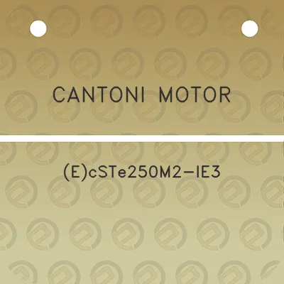 cantoni-motor-ecste250m2-ie3