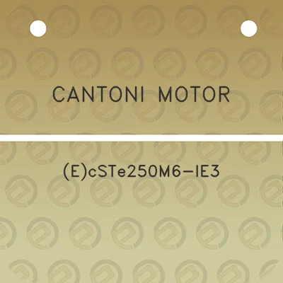 cantoni-motor-ecste250m6-ie3