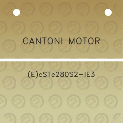 cantoni-motor-ecste280s2-ie3