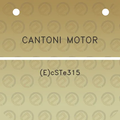 cantoni-motor-ecste315