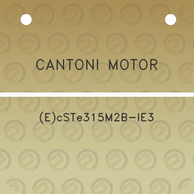 cantoni-motor-ecste315m2b-ie3