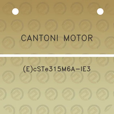 cantoni-motor-ecste315m6a-ie3