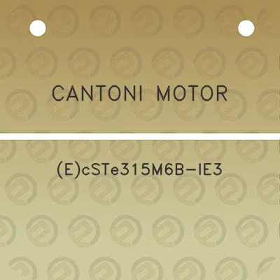 cantoni-motor-ecste315m6b-ie3