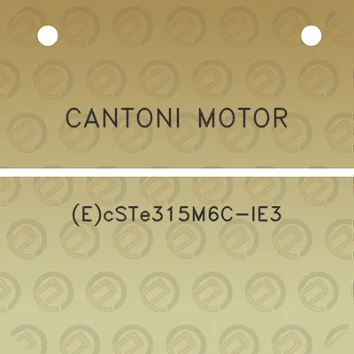 cantoni-motor-ecste315m6c-ie3