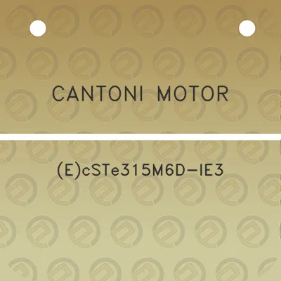 cantoni-motor-ecste315m6d-ie3