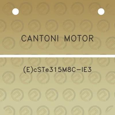 cantoni-motor-ecste315m8c-ie3