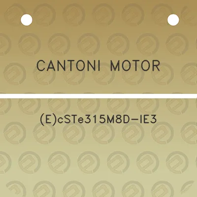 cantoni-motor-ecste315m8d-ie3