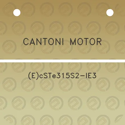 cantoni-motor-ecste315s2-ie3