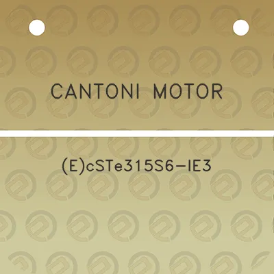 cantoni-motor-ecste315s6-ie3