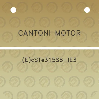 cantoni-motor-ecste315s8-ie3