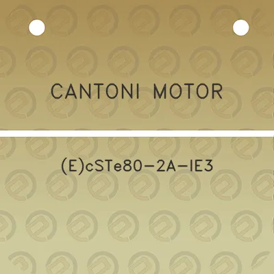 cantoni-motor-ecste80-2a-ie3