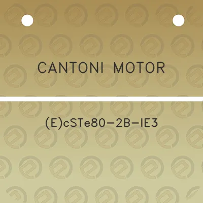 cantoni-motor-ecste80-2b-ie3