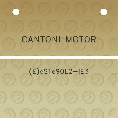 cantoni-motor-ecste90l2-ie3