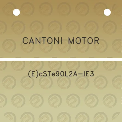 cantoni-motor-ecste90l2a-ie3