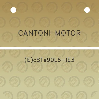 cantoni-motor-ecste90l6-ie3