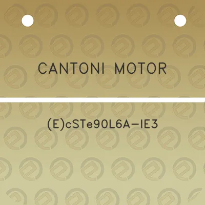 cantoni-motor-ecste90l6a-ie3