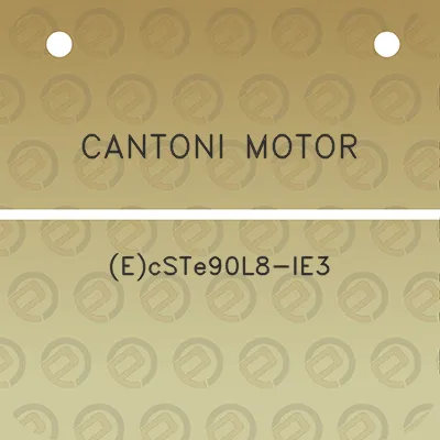 cantoni-motor-ecste90l8-ie3