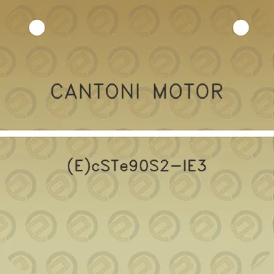 cantoni-motor-ecste90s2-ie3