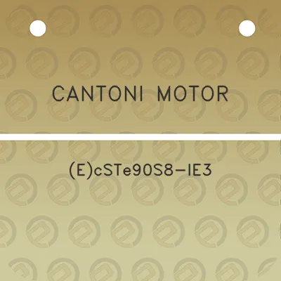 cantoni-motor-ecste90s8-ie3