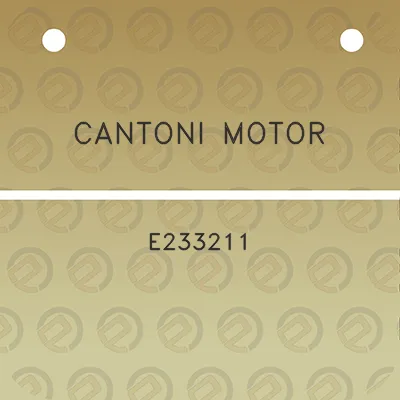 cantoni-motor-e233211