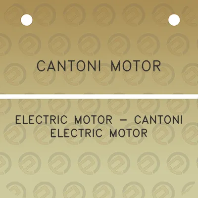 cantoni-motor-electric-motor-cantoni-electric-motor