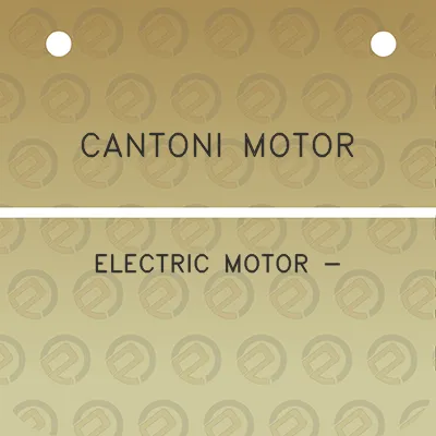 cantoni-motor-electric-motor