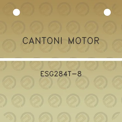 cantoni-motor-esg284t-8