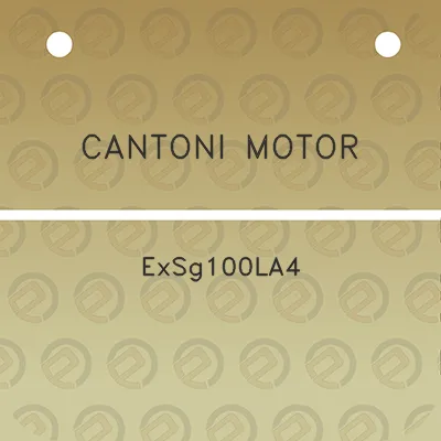 cantoni-motor-exsg100la4