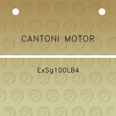 cantoni-motor-exsg100lb4