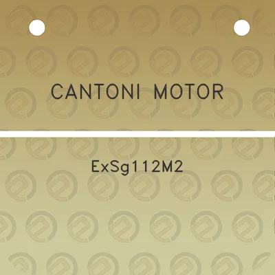 cantoni-motor-exsg112m2