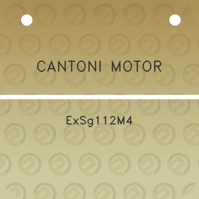 cantoni-motor-exsg112m4