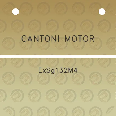 cantoni-motor-exsg132m4