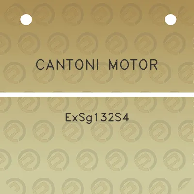 cantoni-motor-exsg132s4