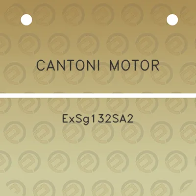 cantoni-motor-exsg132sa2