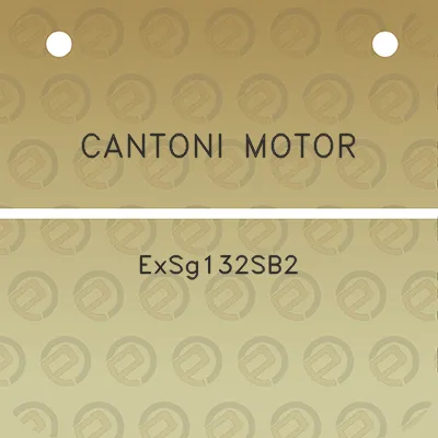 cantoni-motor-exsg132sb2