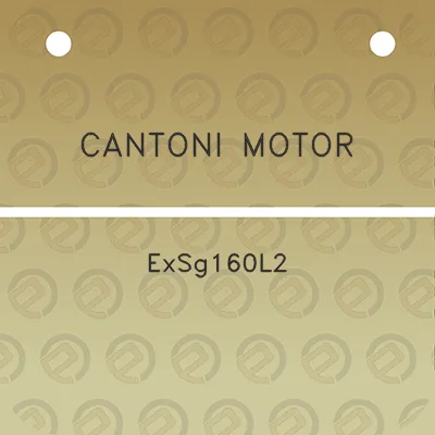 cantoni-motor-exsg160l2