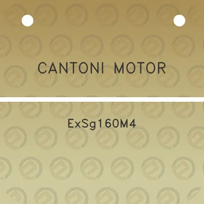 cantoni-motor-exsg160m4